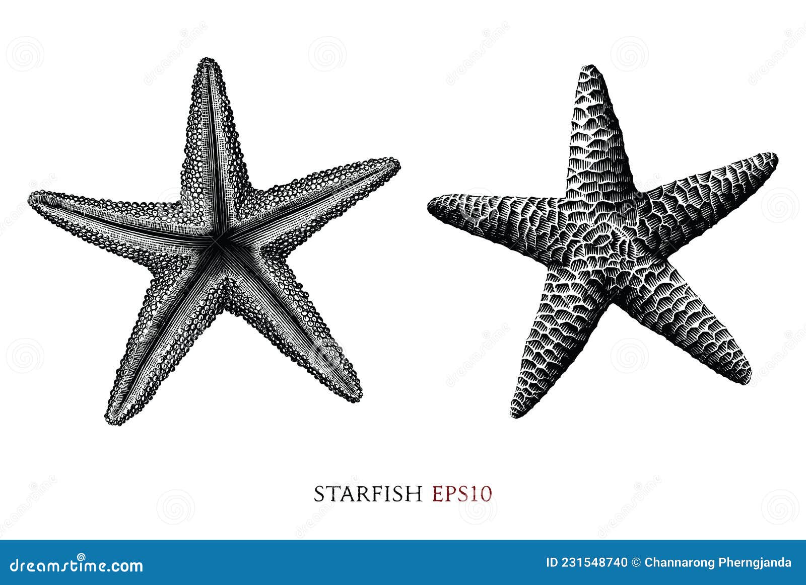 Outline sketch of starfish Stock Vector by ©BeatWalk 89605498