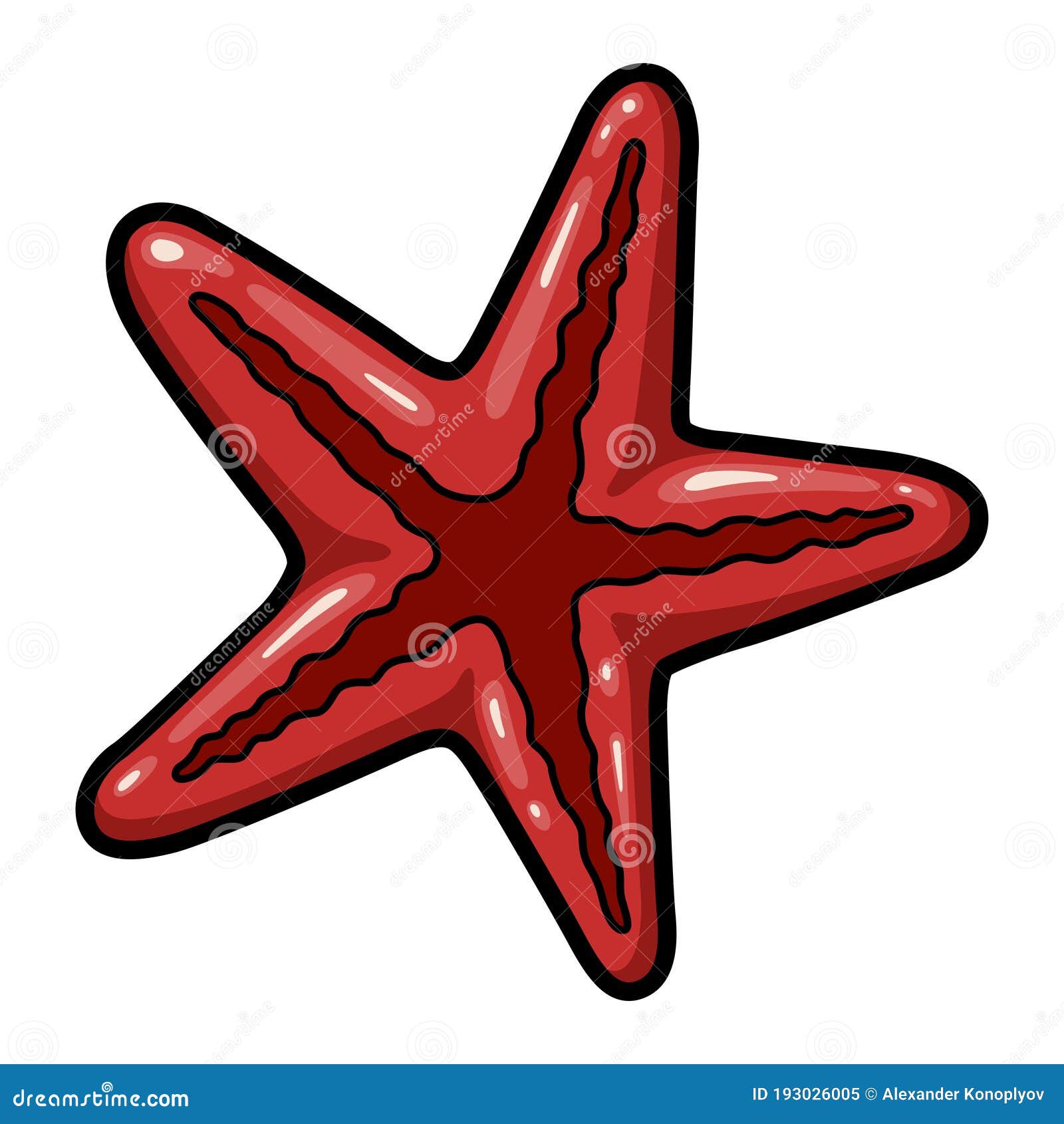 starfish, marine echinoderm, red star-d water creature