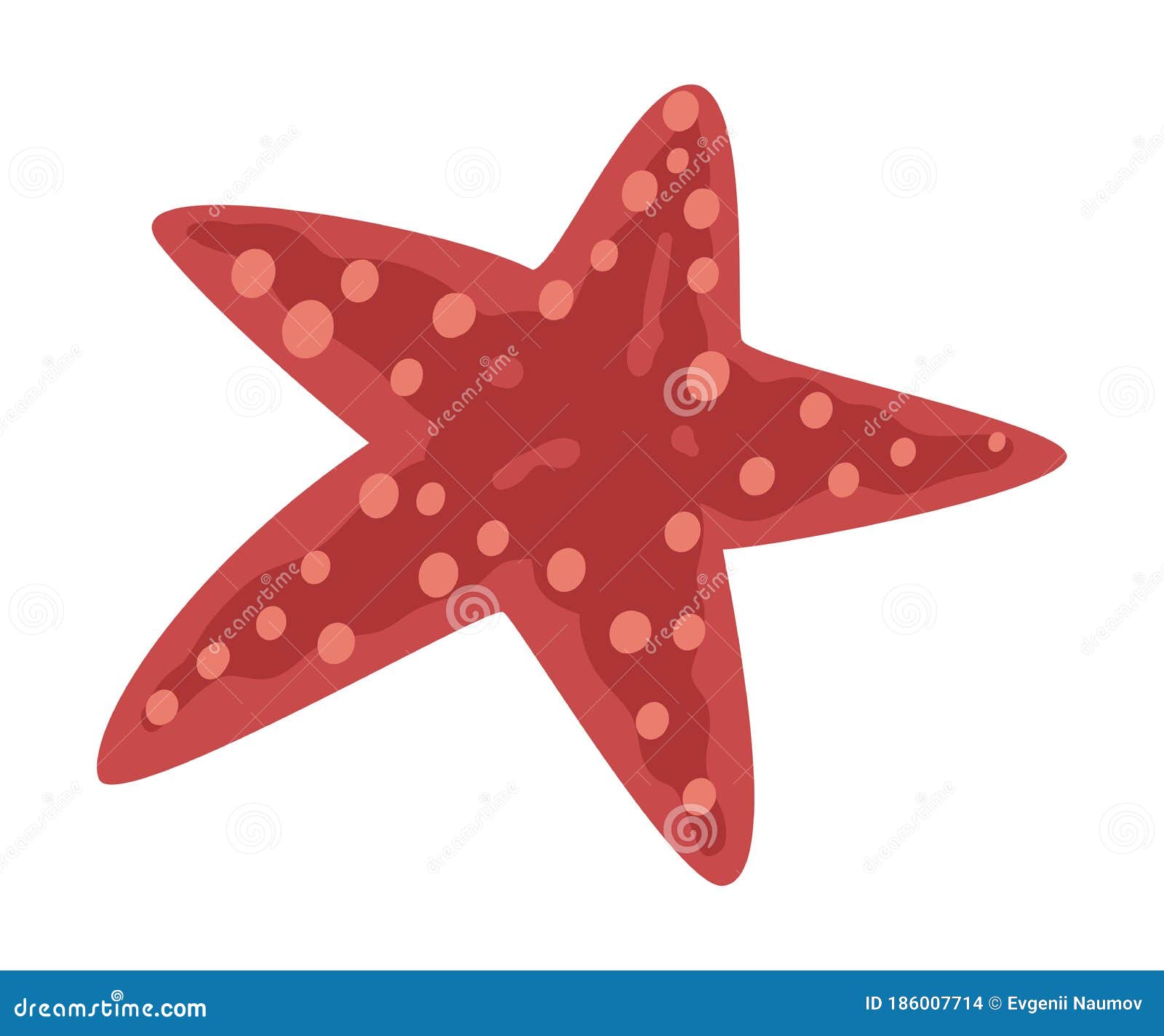 starfish marine life , sea or ocean creature  