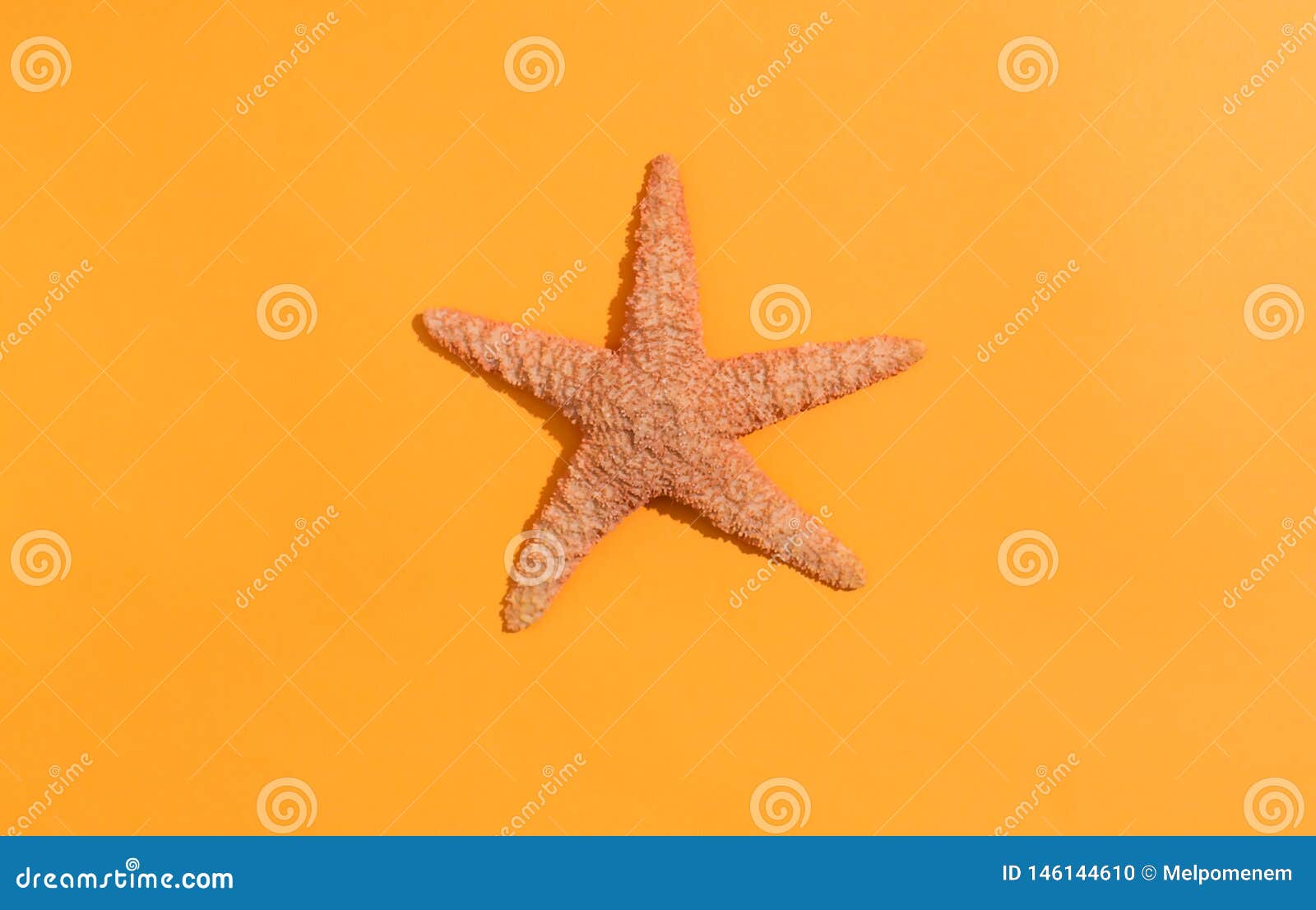 Essay on starfish