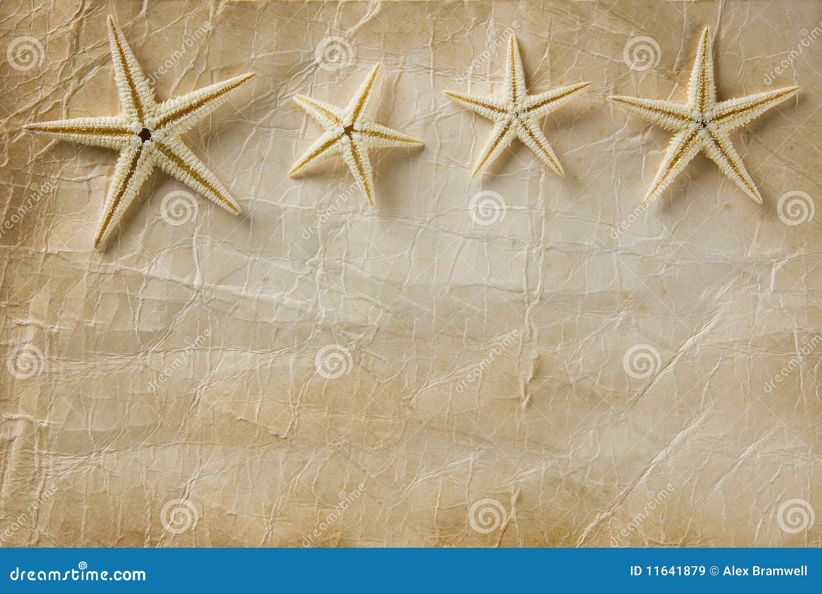 Essay on starfish
