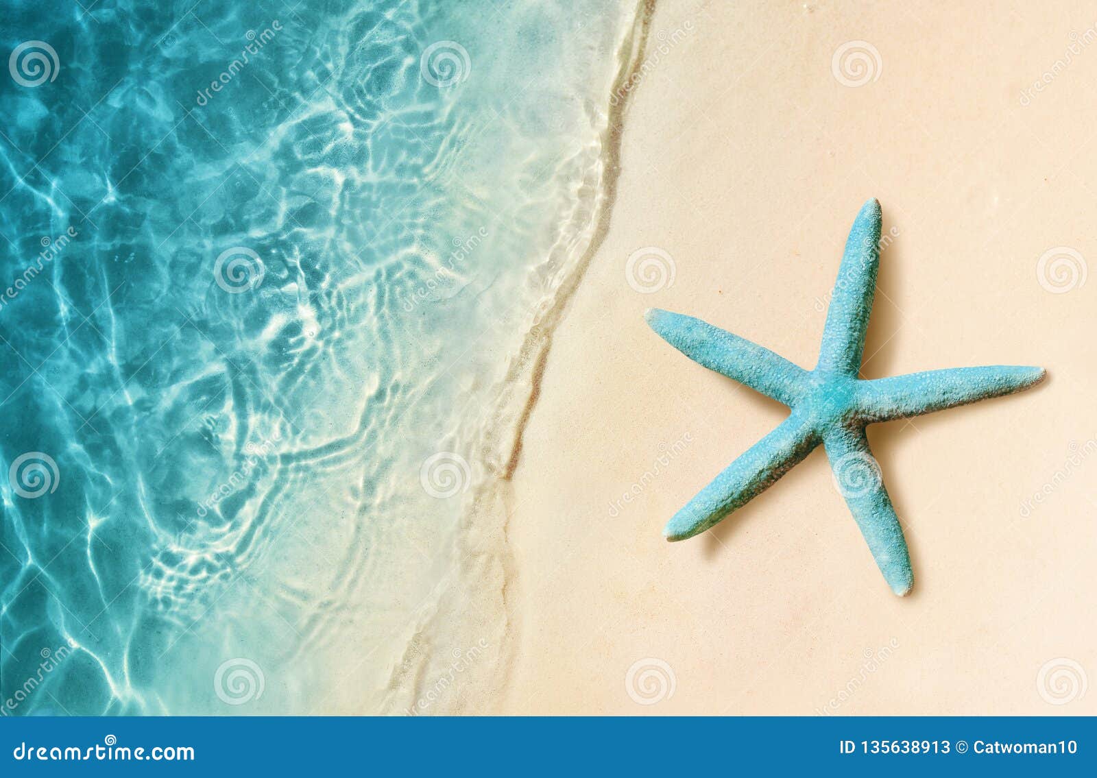 starfish on the sand beach and ocean as background. summer beach