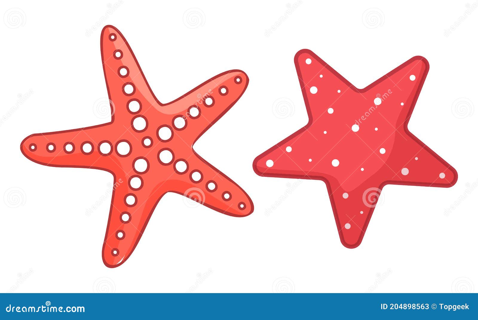 Beach Vector Digital SVG PNG Starfish Clipart Marine Life Sea Star Ocean Seashell Coral Silhouette Star Instant Download Fish
