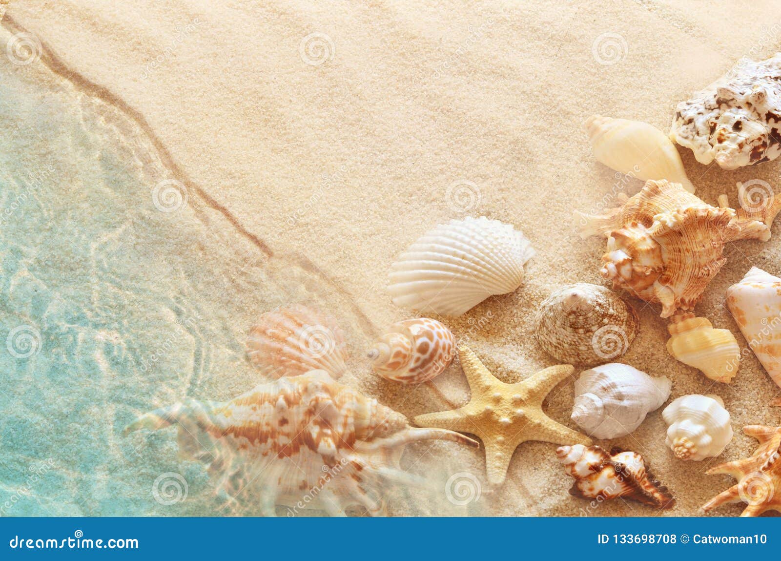 Starfish and Seashell on the Summer Beach in Sea Water. Summer Background. Summer Time. Stock Photo - Image of creative, beauty: 133698708 Starfish and Seashell on the Summer Beach in Sea Water. Summer Background. Summer Time. Stock Photo - Image of creative, beauty: 133698708