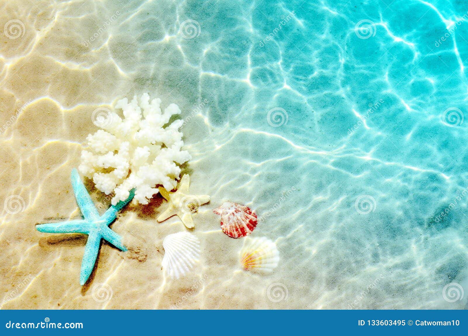 Starfish and Seashell on the Summer Beach in Sea Water. Summer Background.  Summer Time. Stock Image - Image of background, landscape: 133603495