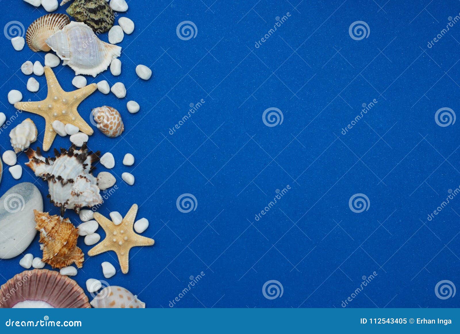 starfish with shells and stones against a blue background with copy space. summer holliday. nautical, marrine concept.