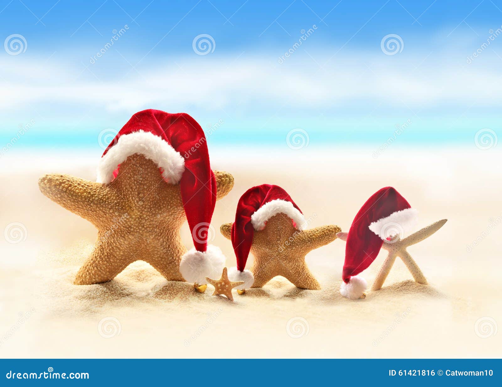 Download Starfish Summer Beach And Santa Hat Stock Image of ocean santa