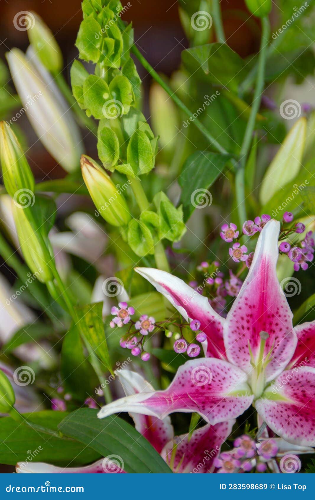 Stargazer Lily Bouquet stock image. Image of nature 283598689