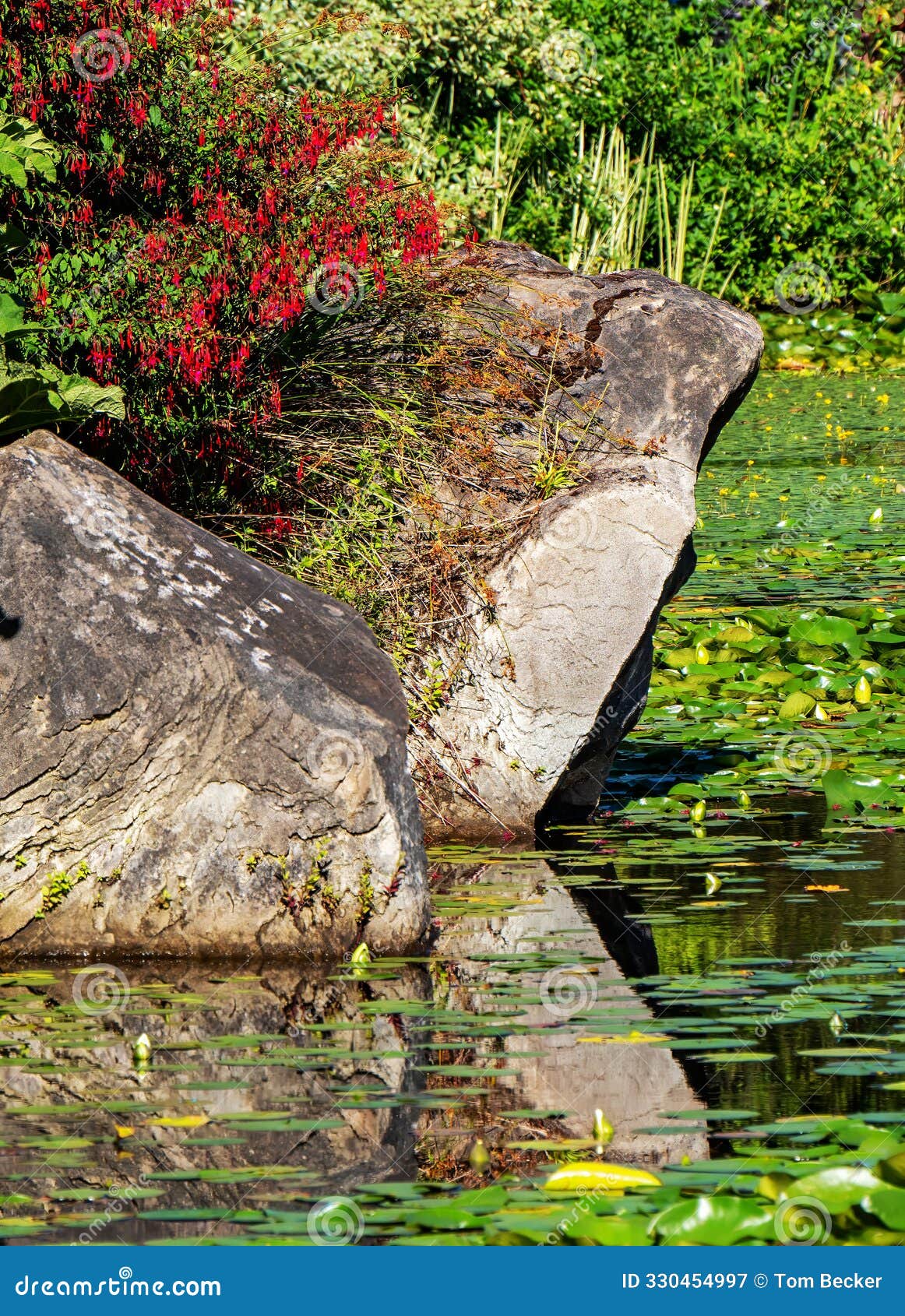 stone juts out over lake creating dramatic reflection