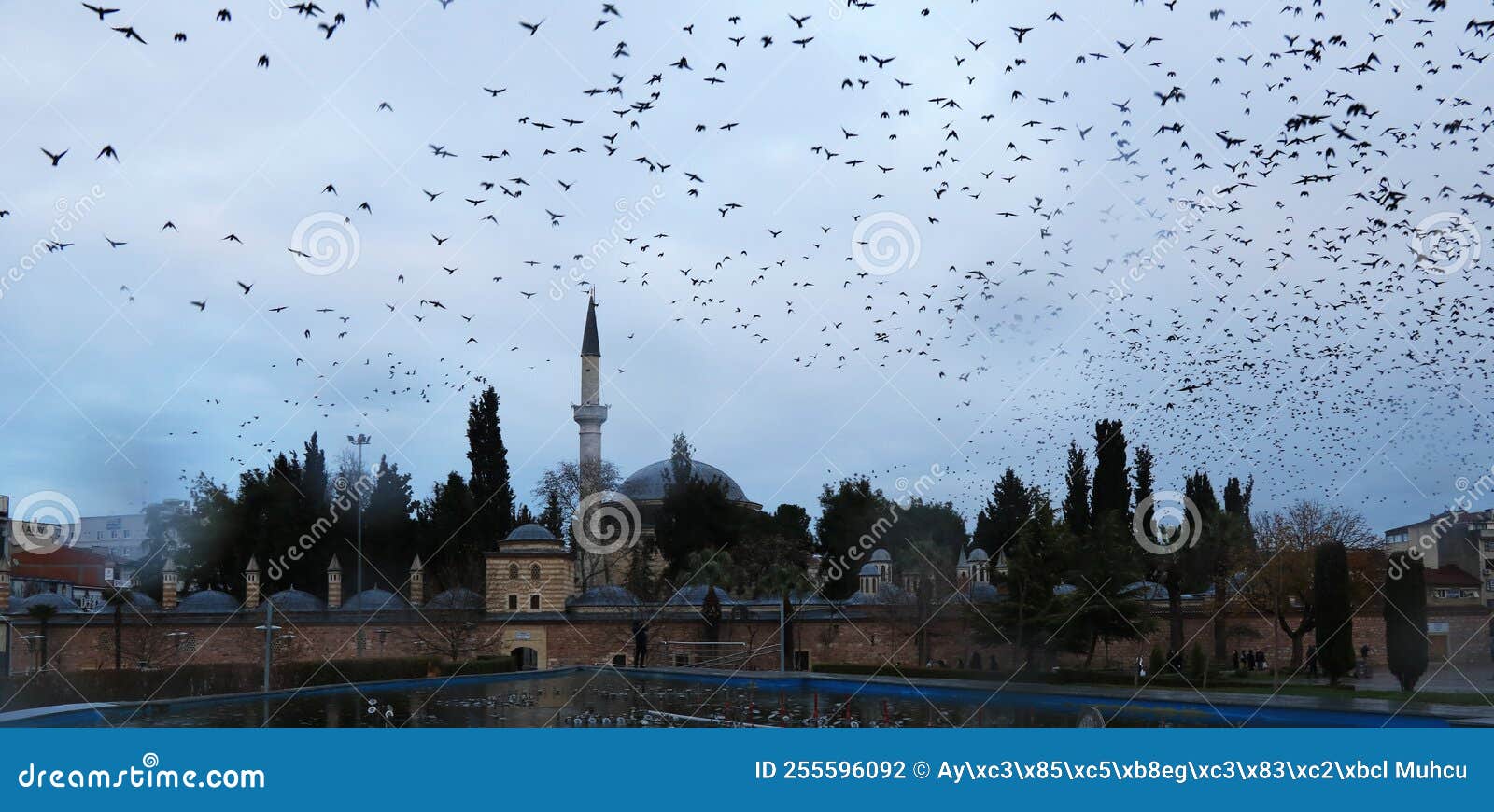 coban mustafa pasha mosque and starlings