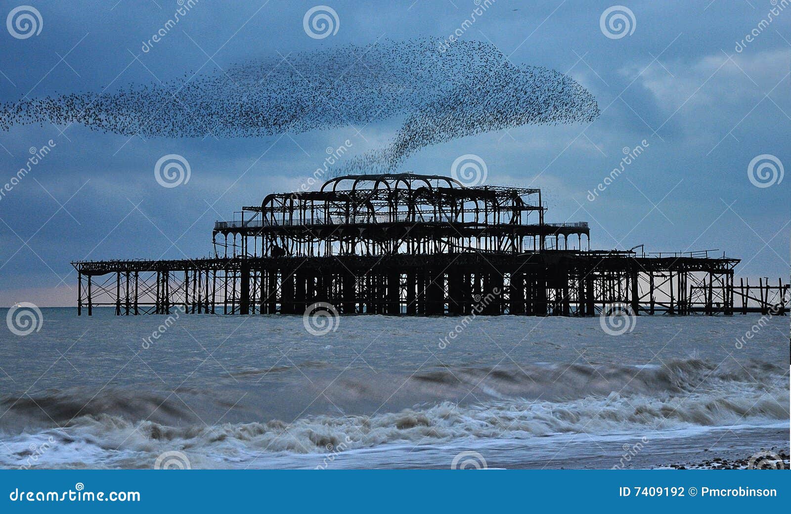 starlings over the west pier