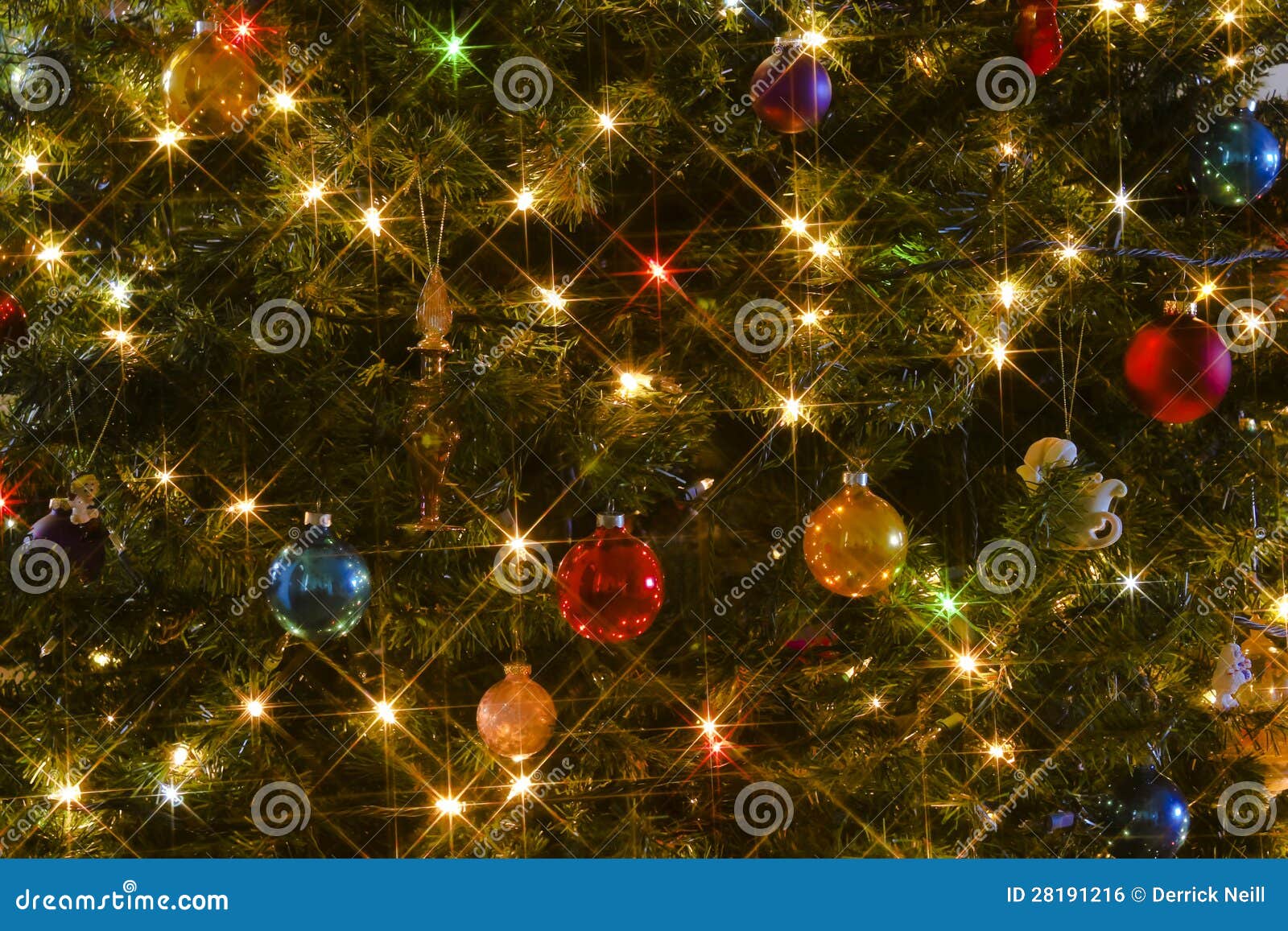 A Starry Christmas Tree on Christmas Eve Stock Photo Image of night