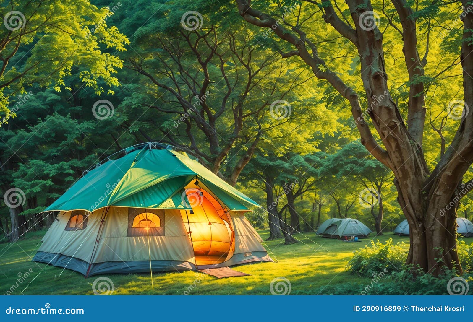 Starry Tranquility Camping Under the Celestial Canopy Stock