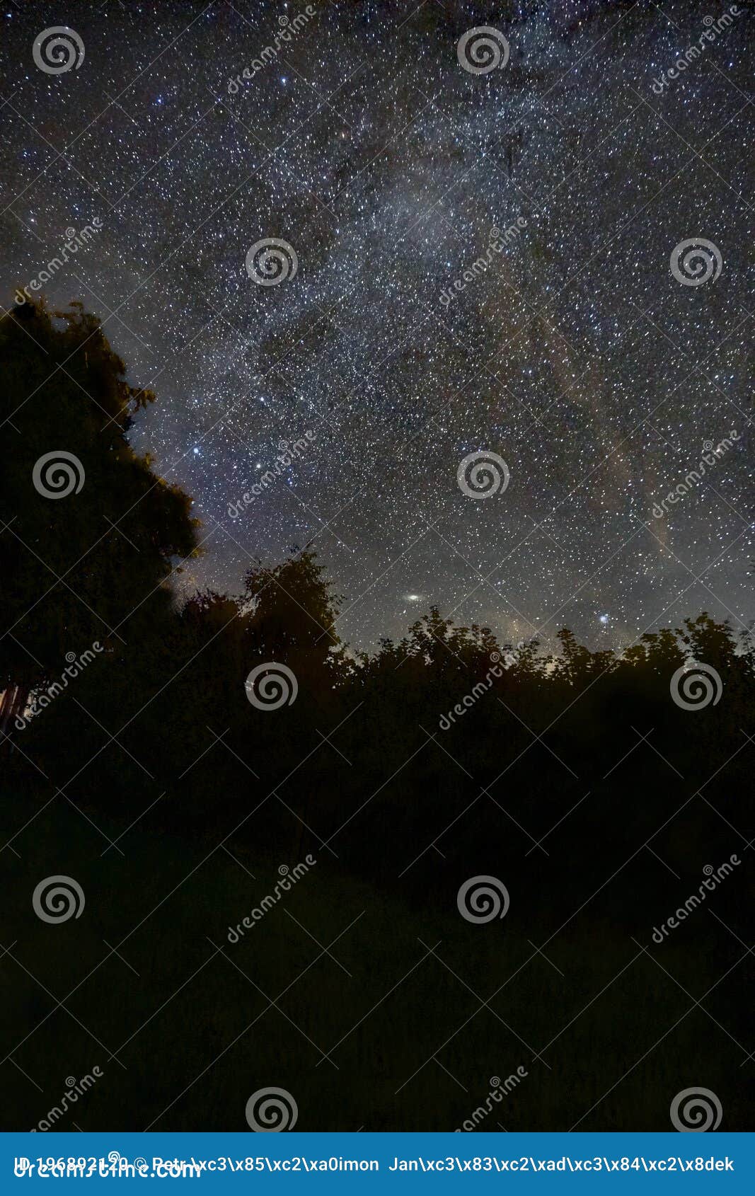 stars photo with trees