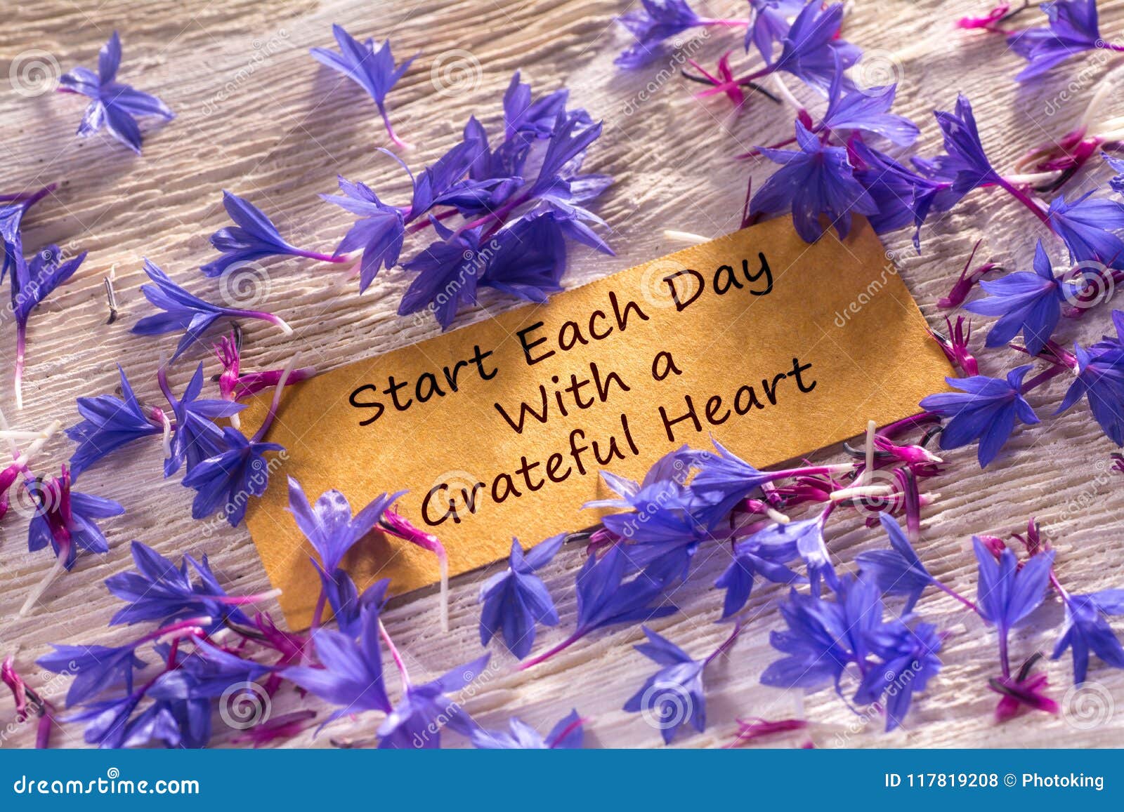 start each day with a grateful heart