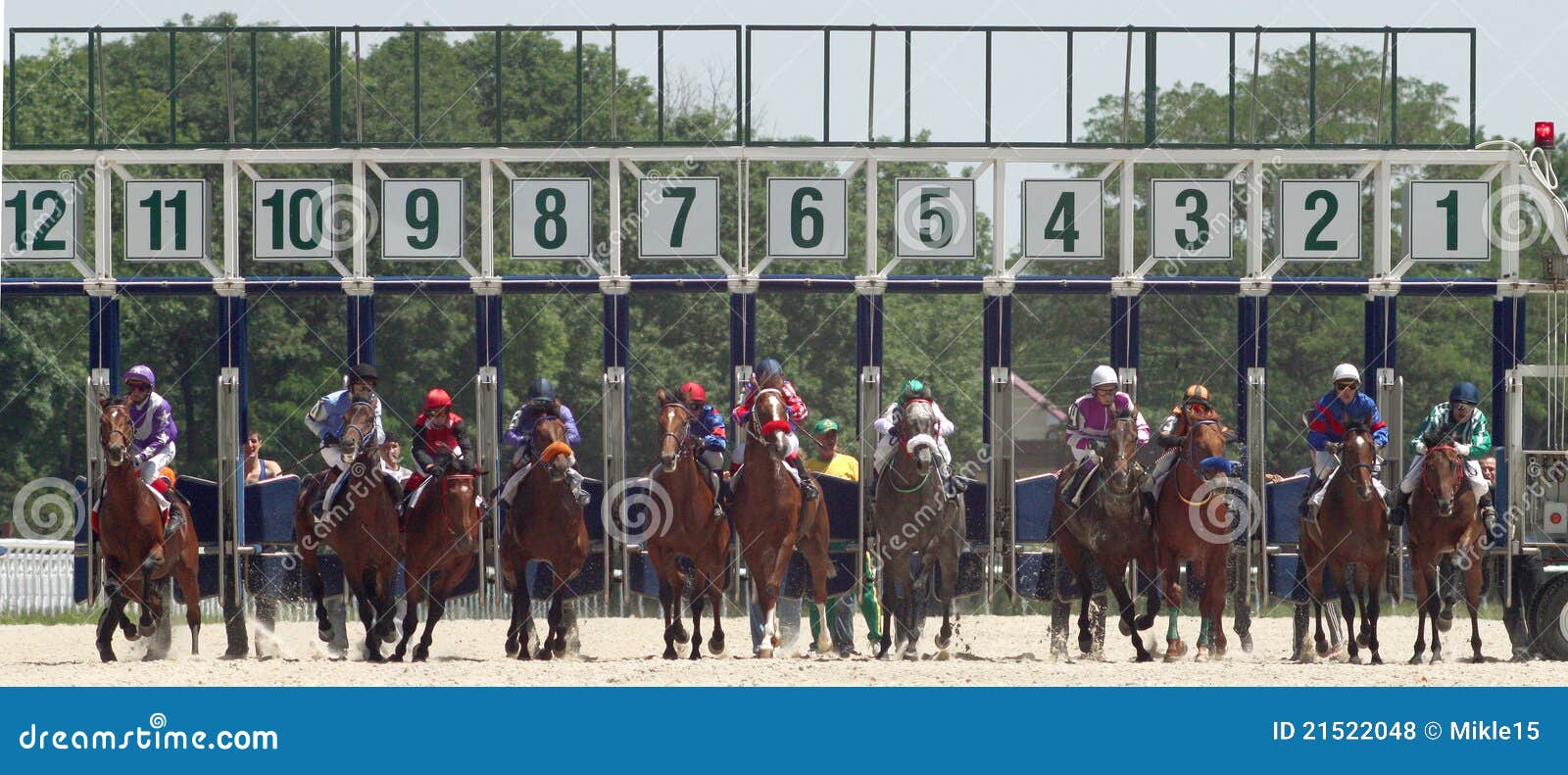 starters orders 6 horse racing starters orders 6 horse racing