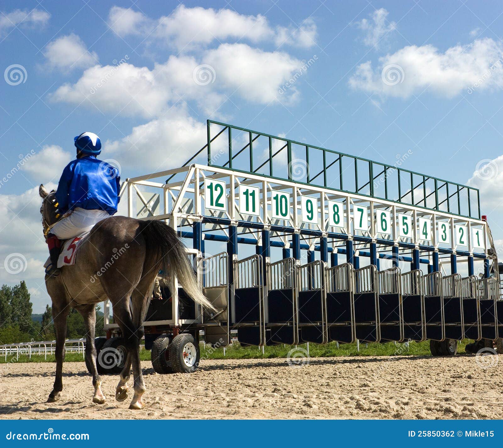 Start Gates for Horse Races. Stock Photo Image of loosing, finish 25850362