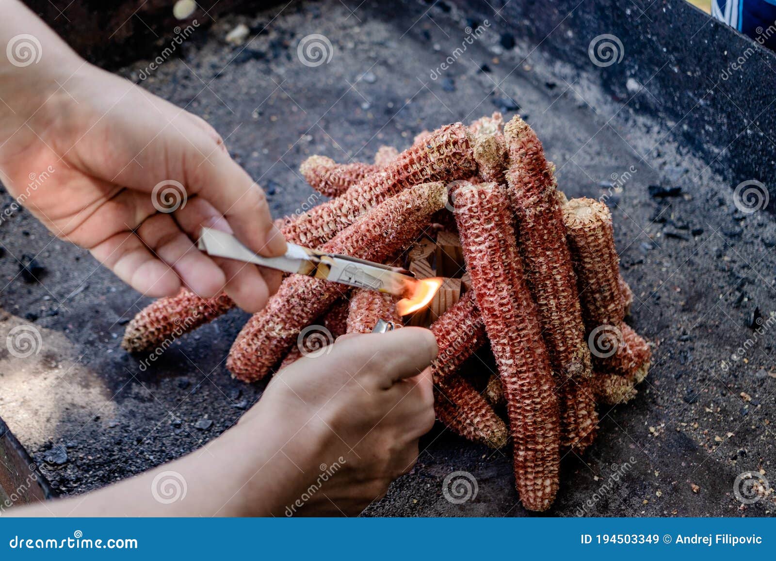 Starting Fire for Charcoal Grill Using Corn Cobs As a Kindle. Stock