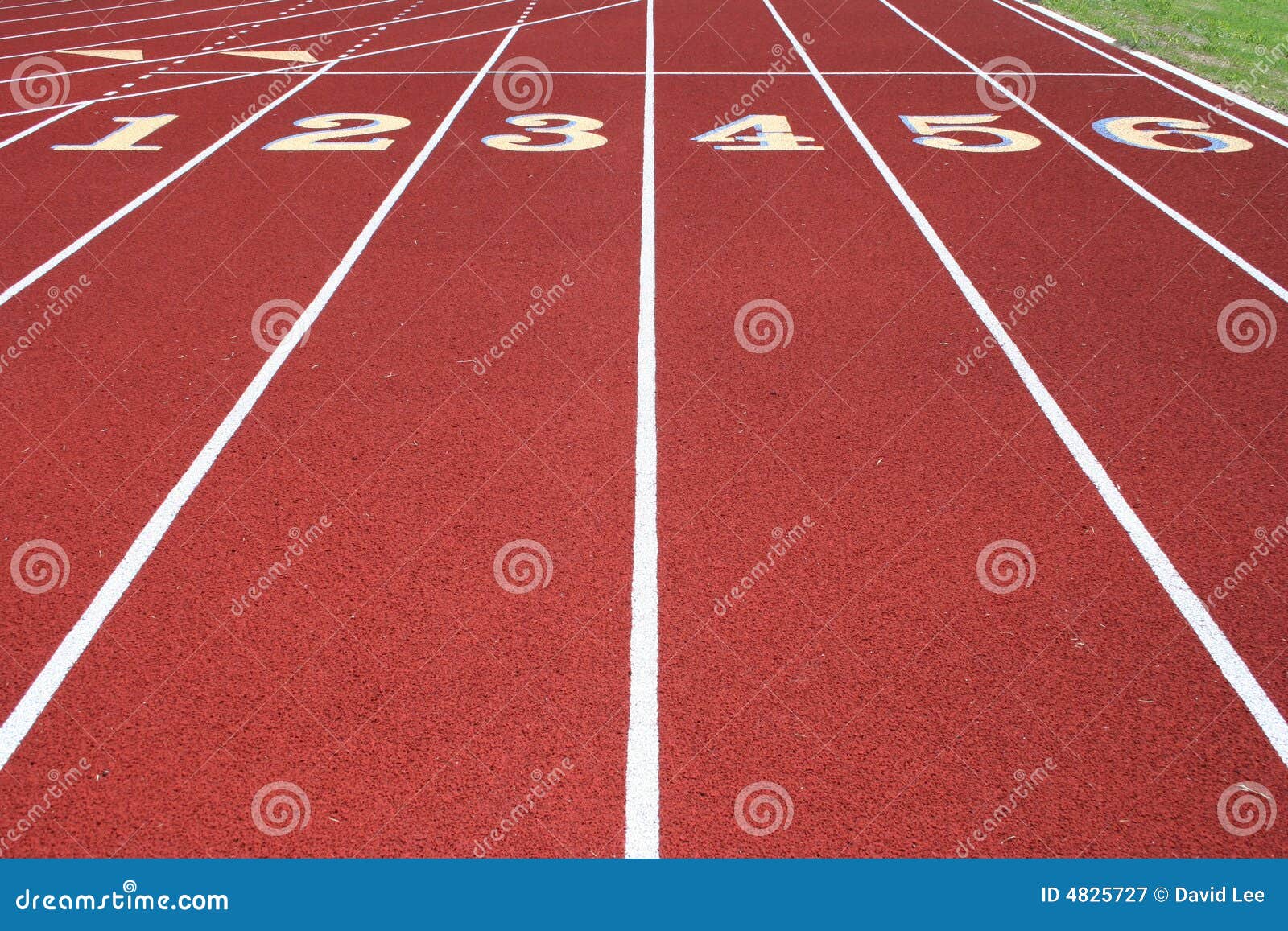 The Starting Line stock image. Image of competition, race 4825727