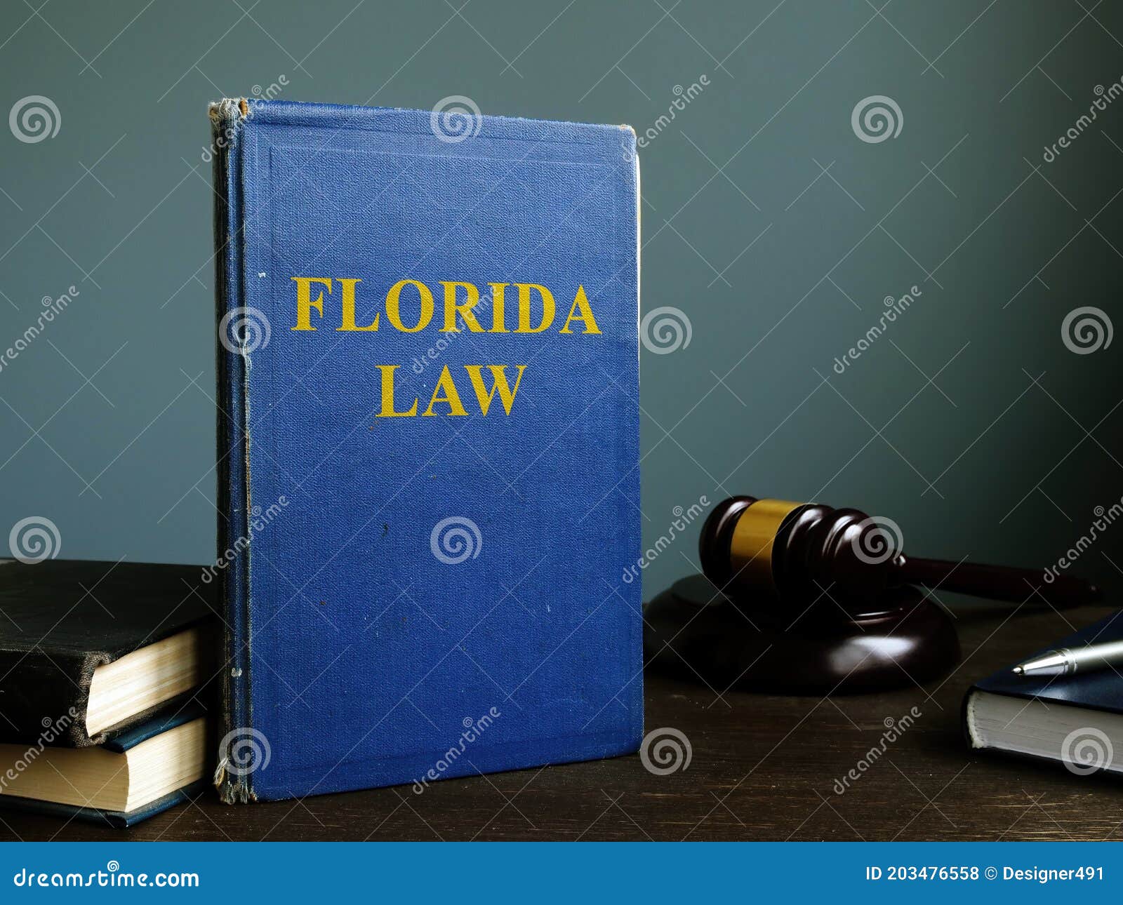 State Florida Law Book in the Court. Stock Photo Image of judicial