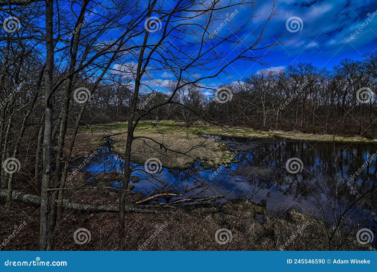 Escape to Nature's Embrace: Weldon Springs State Park, Illinois