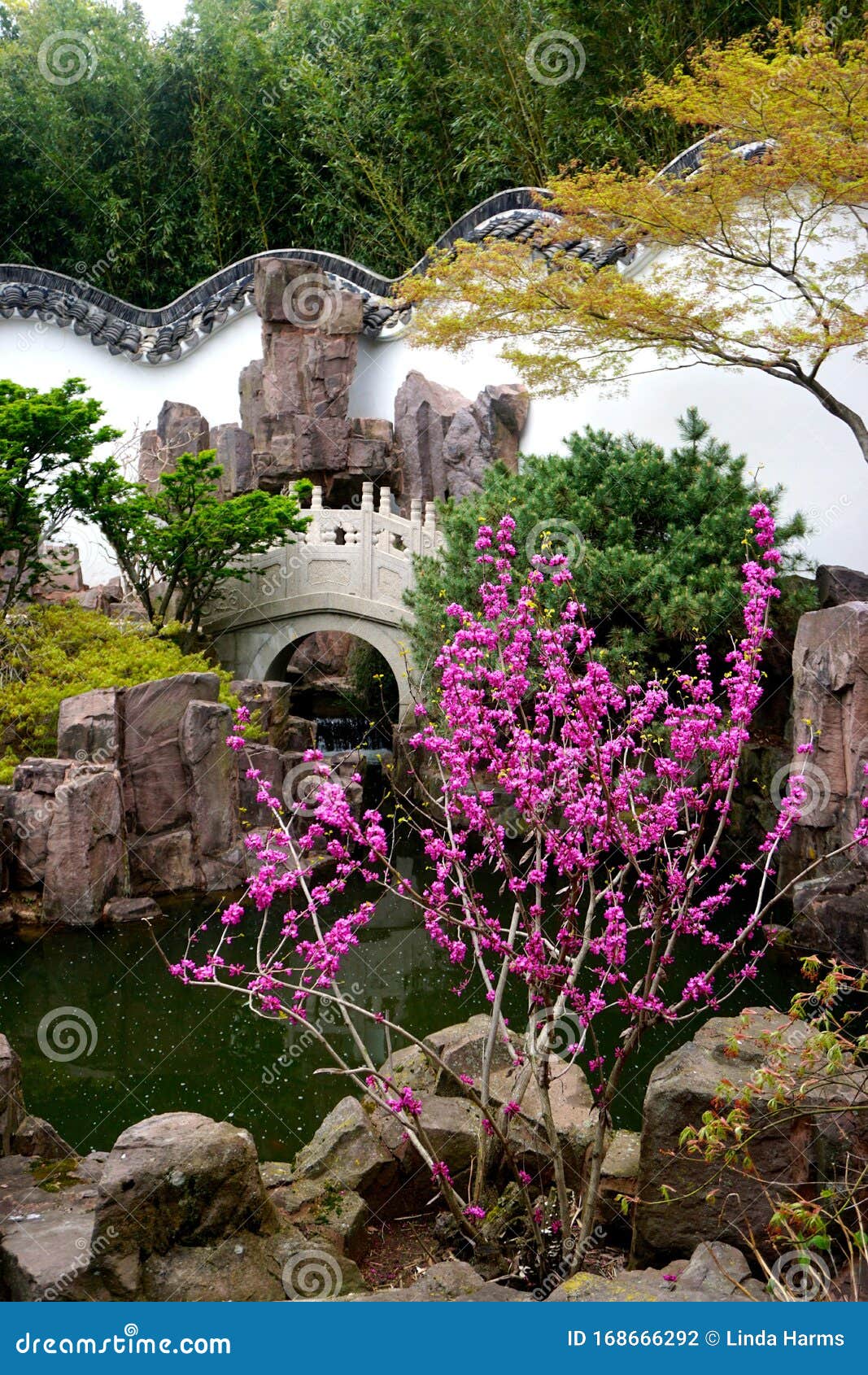 New York Chinese Scholar S Garden Stock Photo Image Of