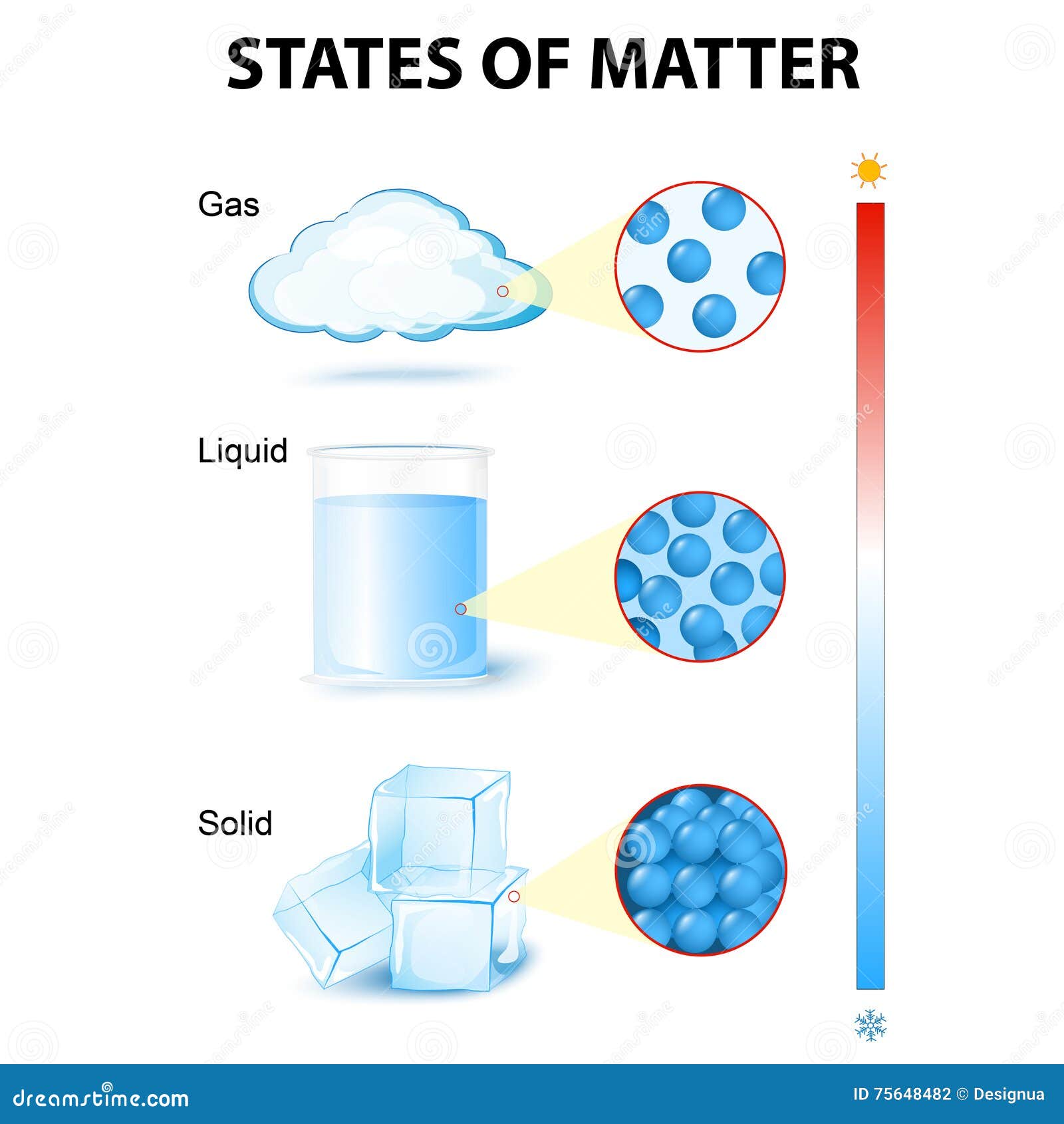 States Of Mater Stock Vector  Illustration Of Glass