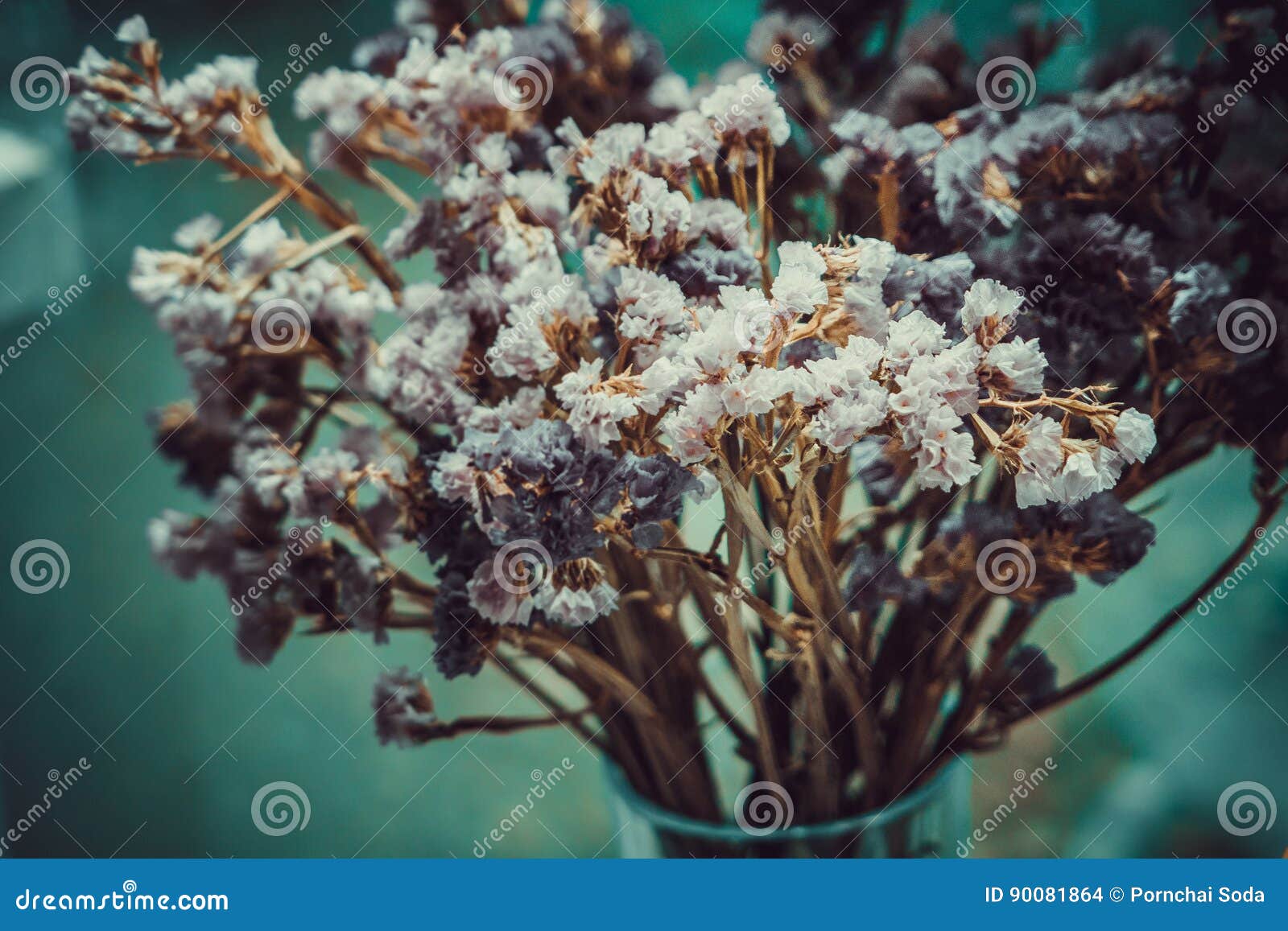 Statice flowers wilt stock photo. Image of lilac, bouquet 90081864