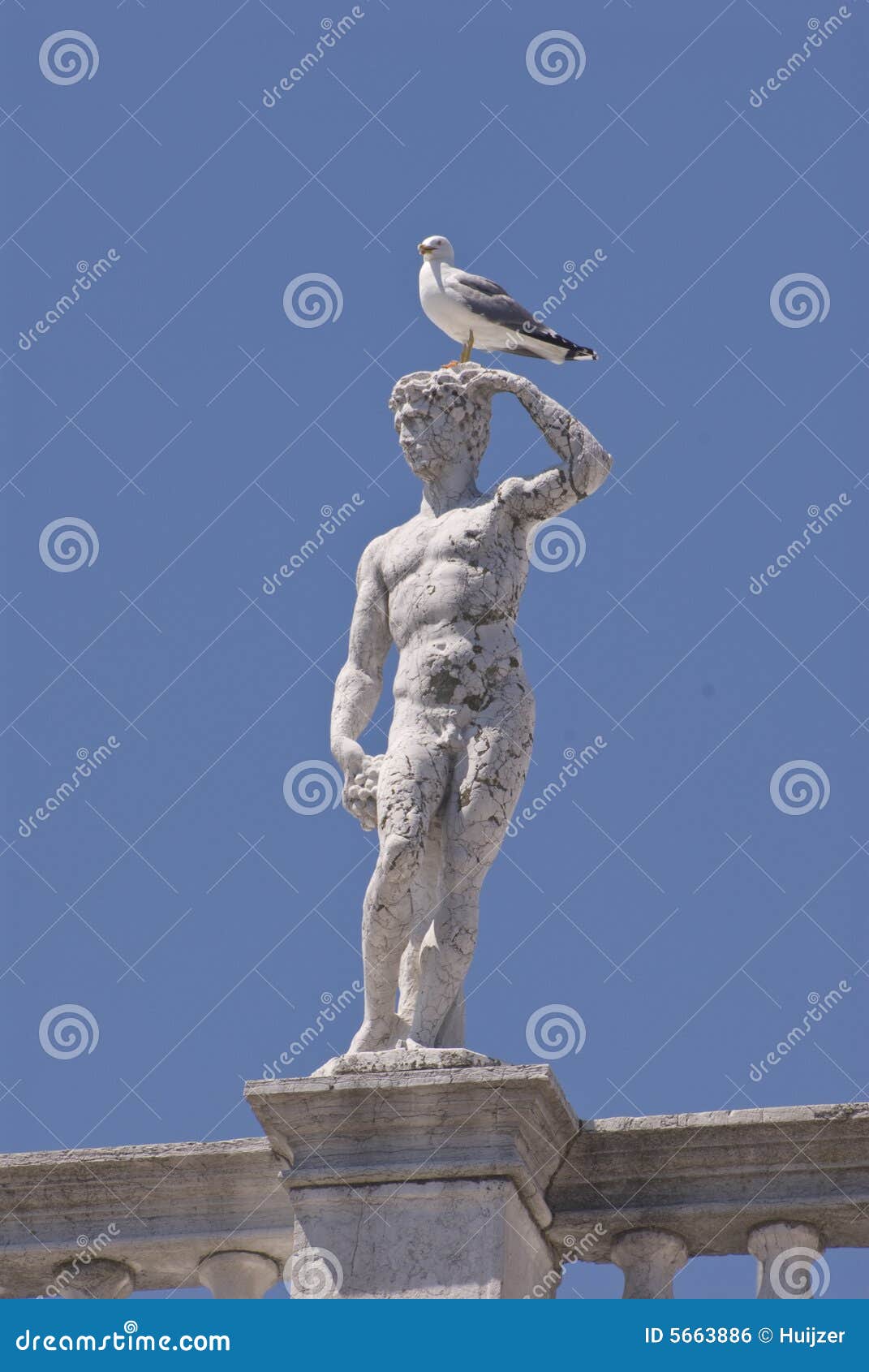 statue on the biblioteca nazionale marciana