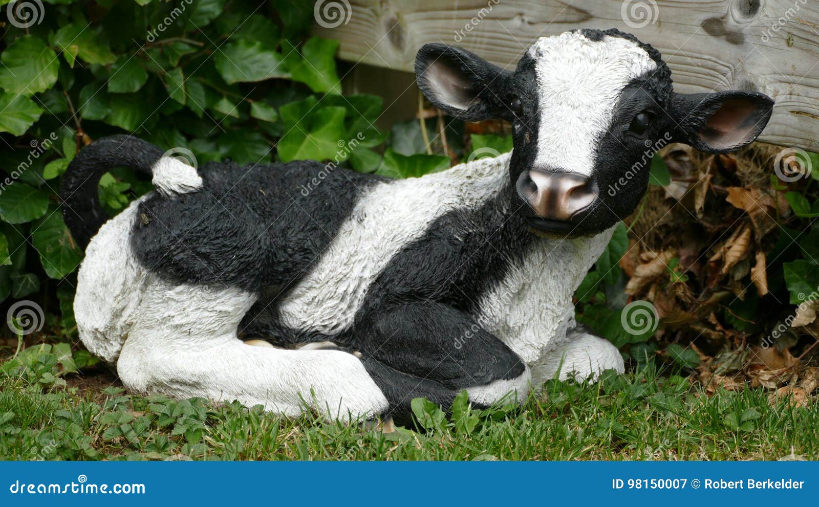 Statue of Cow in the Garden Stock Image Image of real, looking 98150007