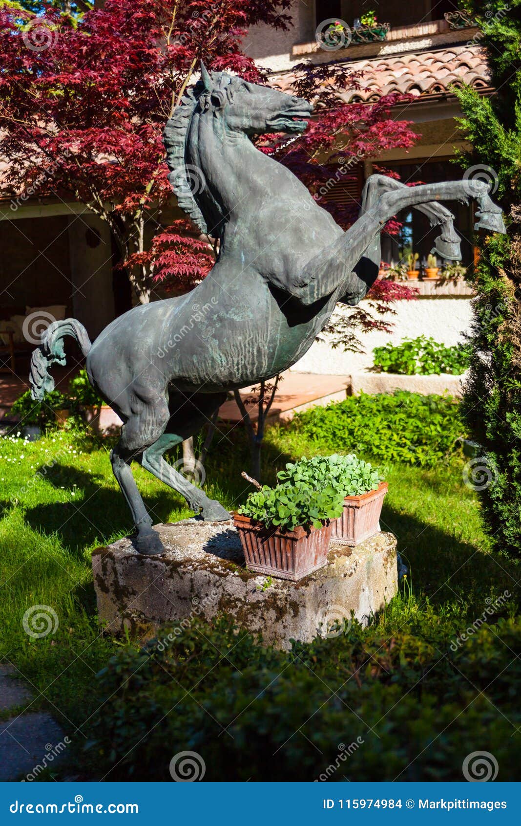 Statue De Cheval D'emballement Dans Le Jardin Photo stock Image du