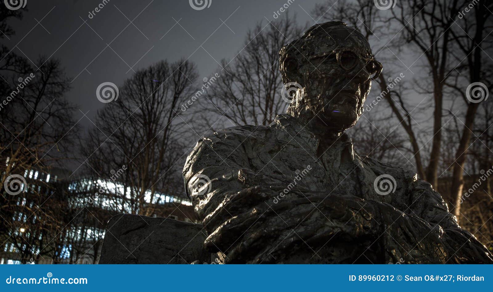 La statue de Patrick Kavanagh le long de Grand Canal à Dublin, Irlande, la nuit