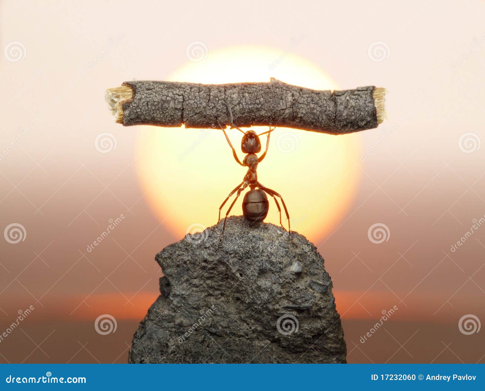 statue of labour, ants civilization