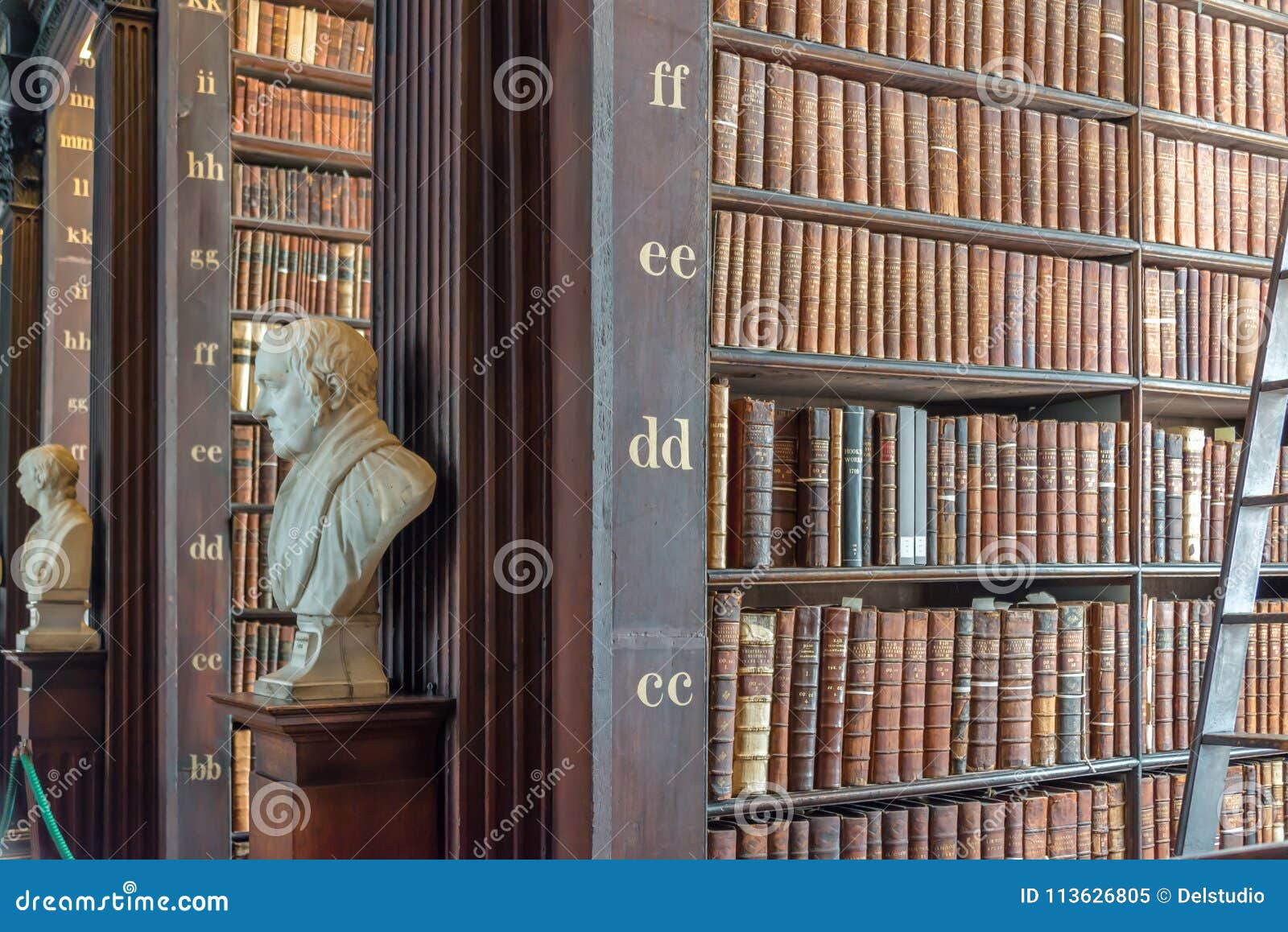 Statues And Bookshelves In The Long Room In The Trinity College