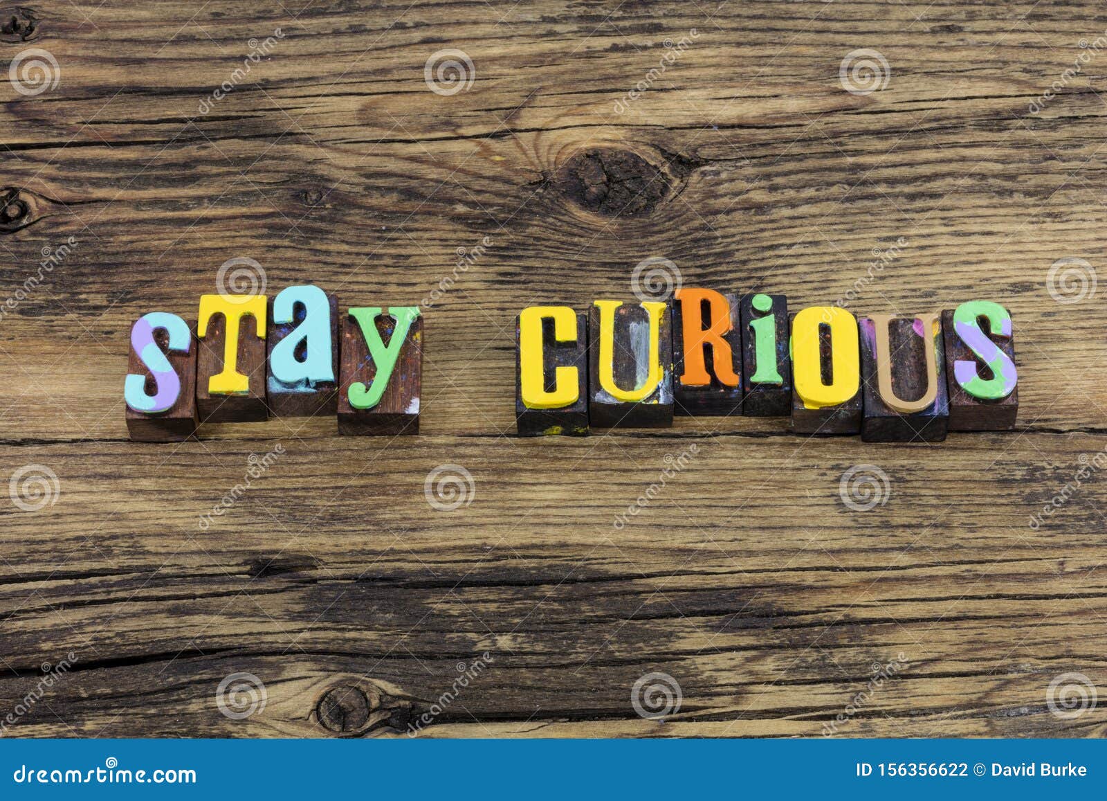 stay curious curiosity passion creative dreamer inquisitive question questions