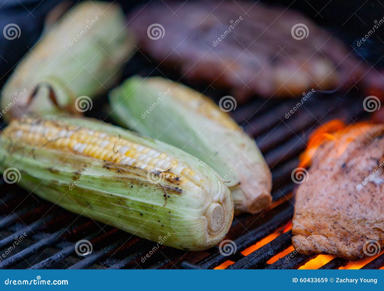Steaks and Salmon on a Grill Stock Image - Image of outdoors