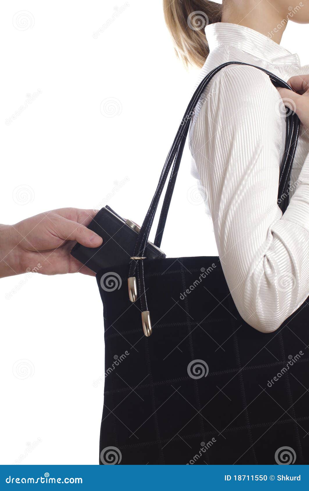 Stealing Purse from the Bag Stock Photo Image of purse, close 18711550