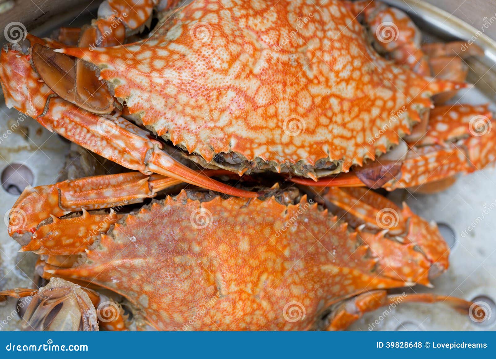 Steam crab stock photo. Image of steam, closeup, boiling 39828648