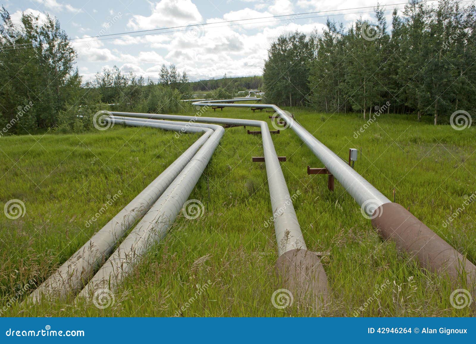 Steam pipes, Alberta editorial stock image. Image of fields 42946264