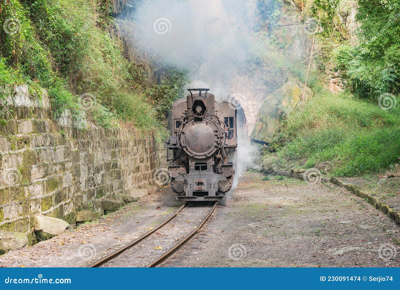Steam Retro Train Moves through the Tunnel Editorial Stock Image ...