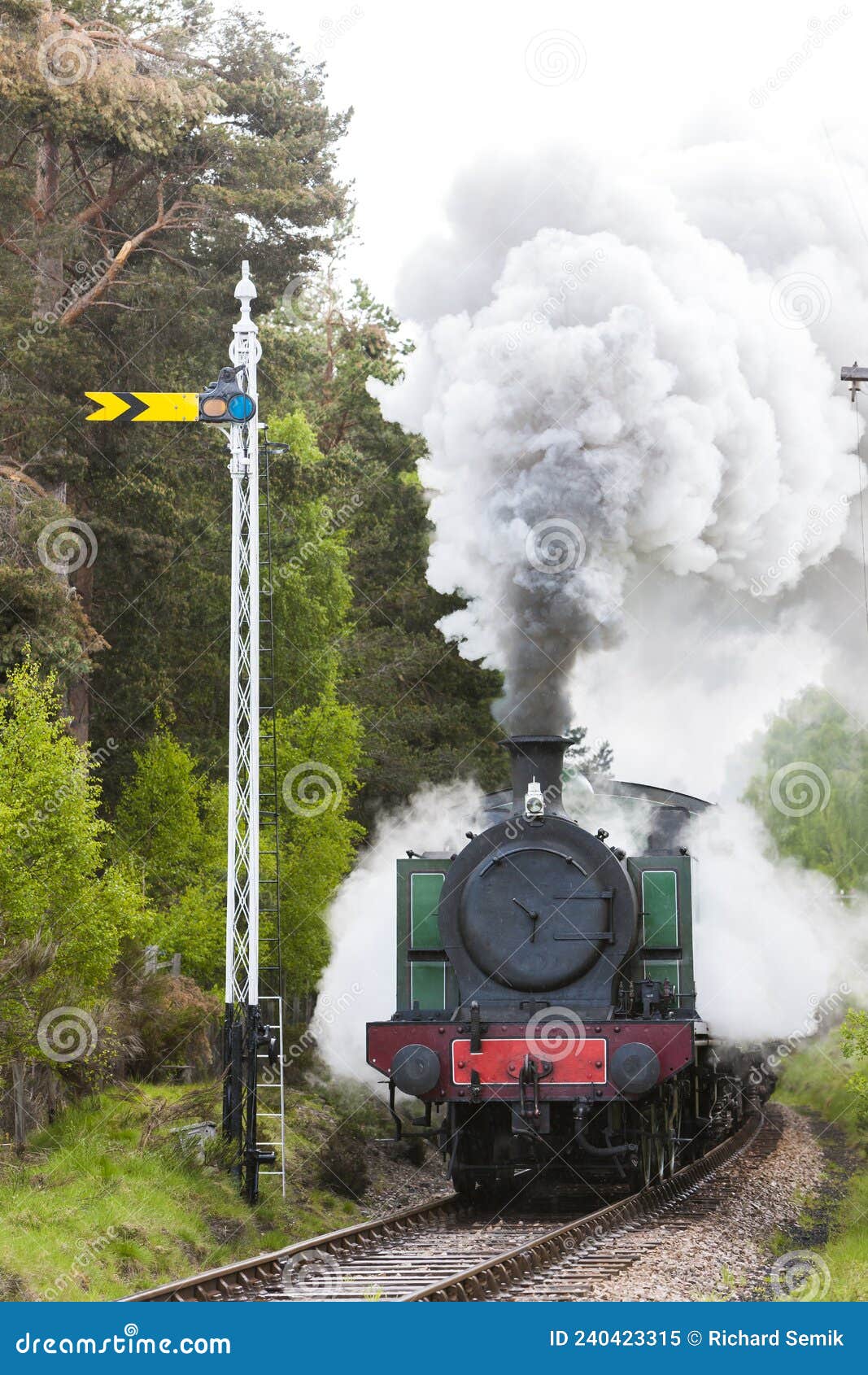 steam train, strathspey railway, highlands, scotland