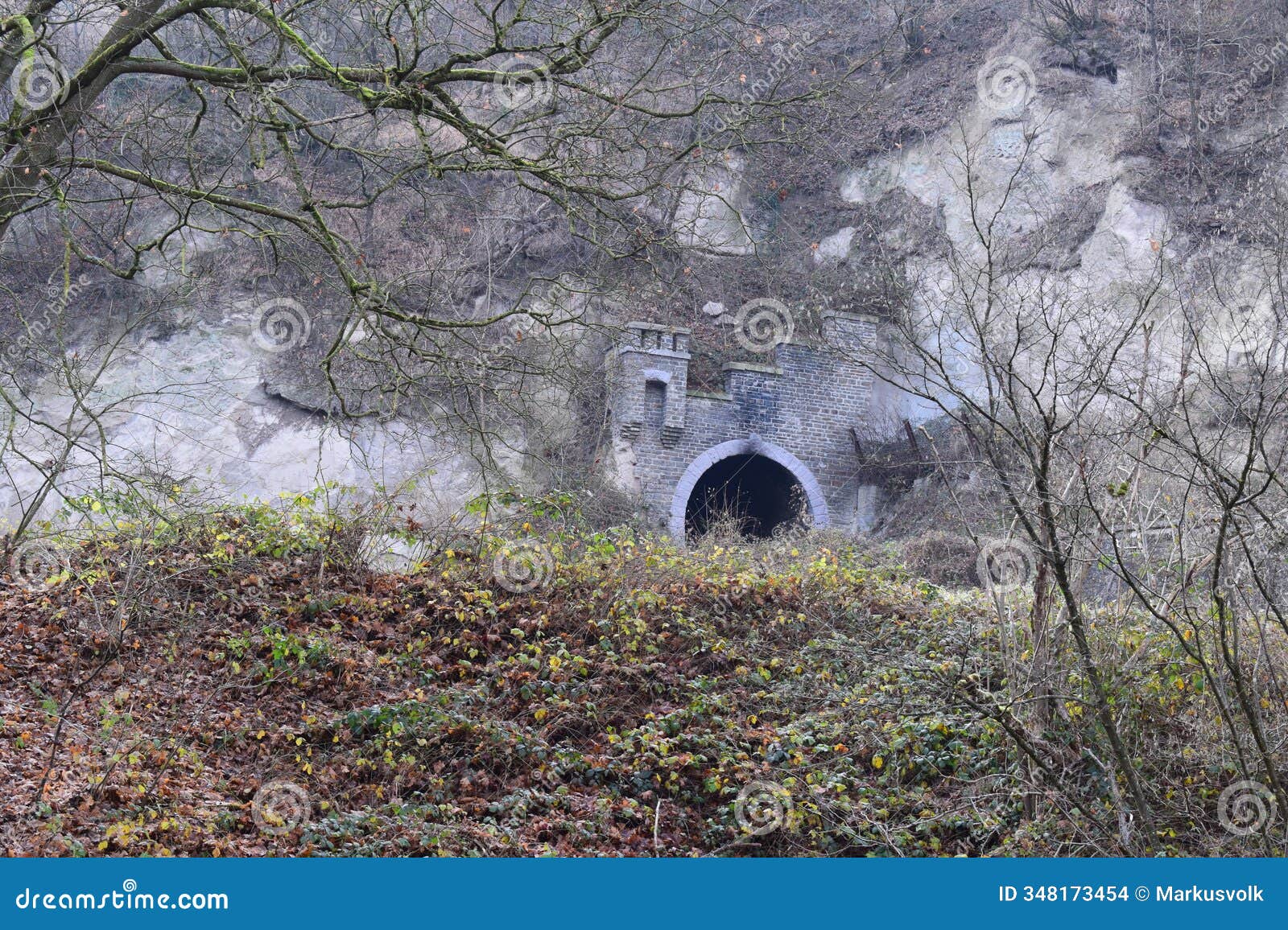 brohltal railroad tunnel at tÃ¶nnisstein, eifel