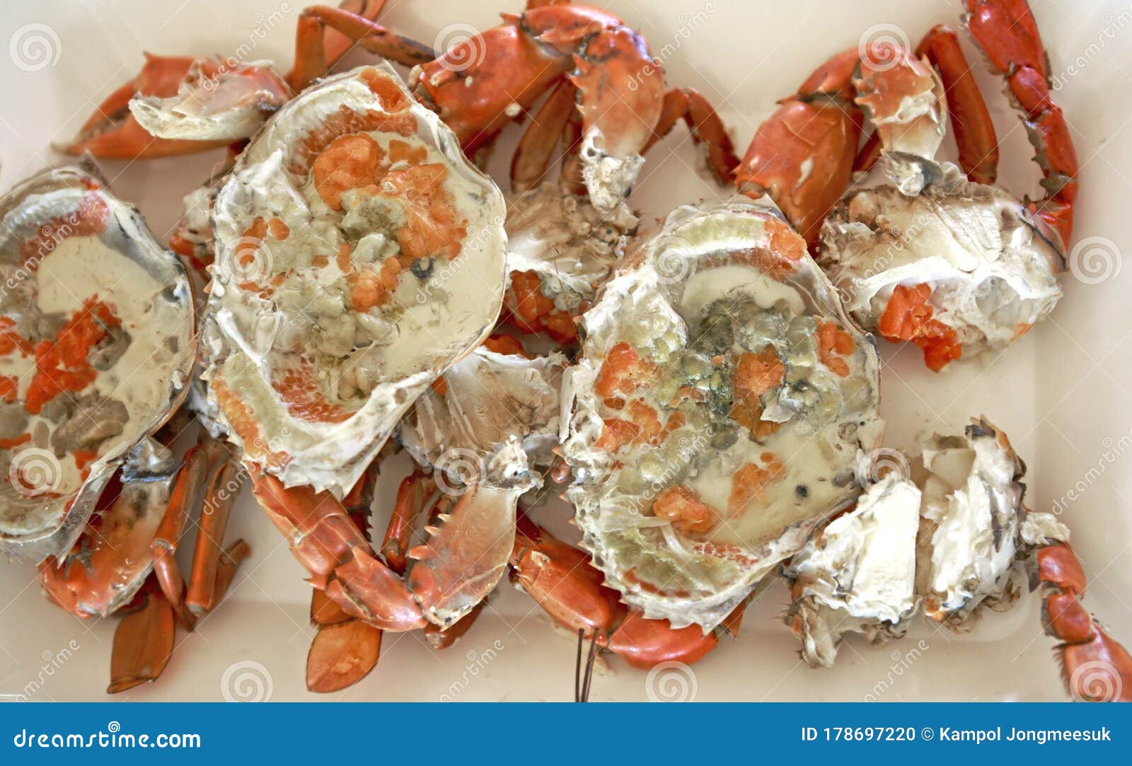 blue crab eggs blue crab eggs