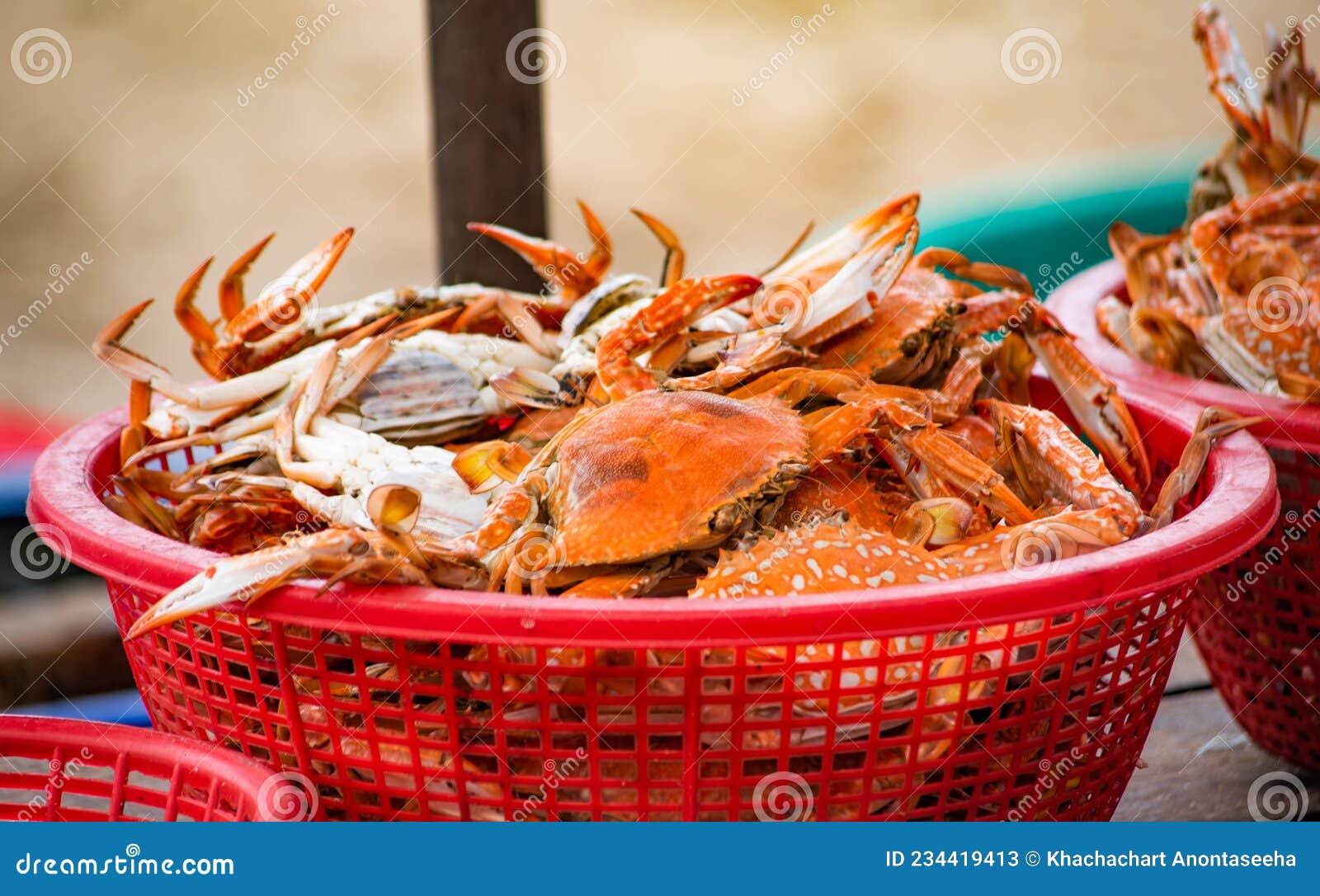 Steamed Blue Crabs in Red Plastic Baskets for Sale on the Beach in