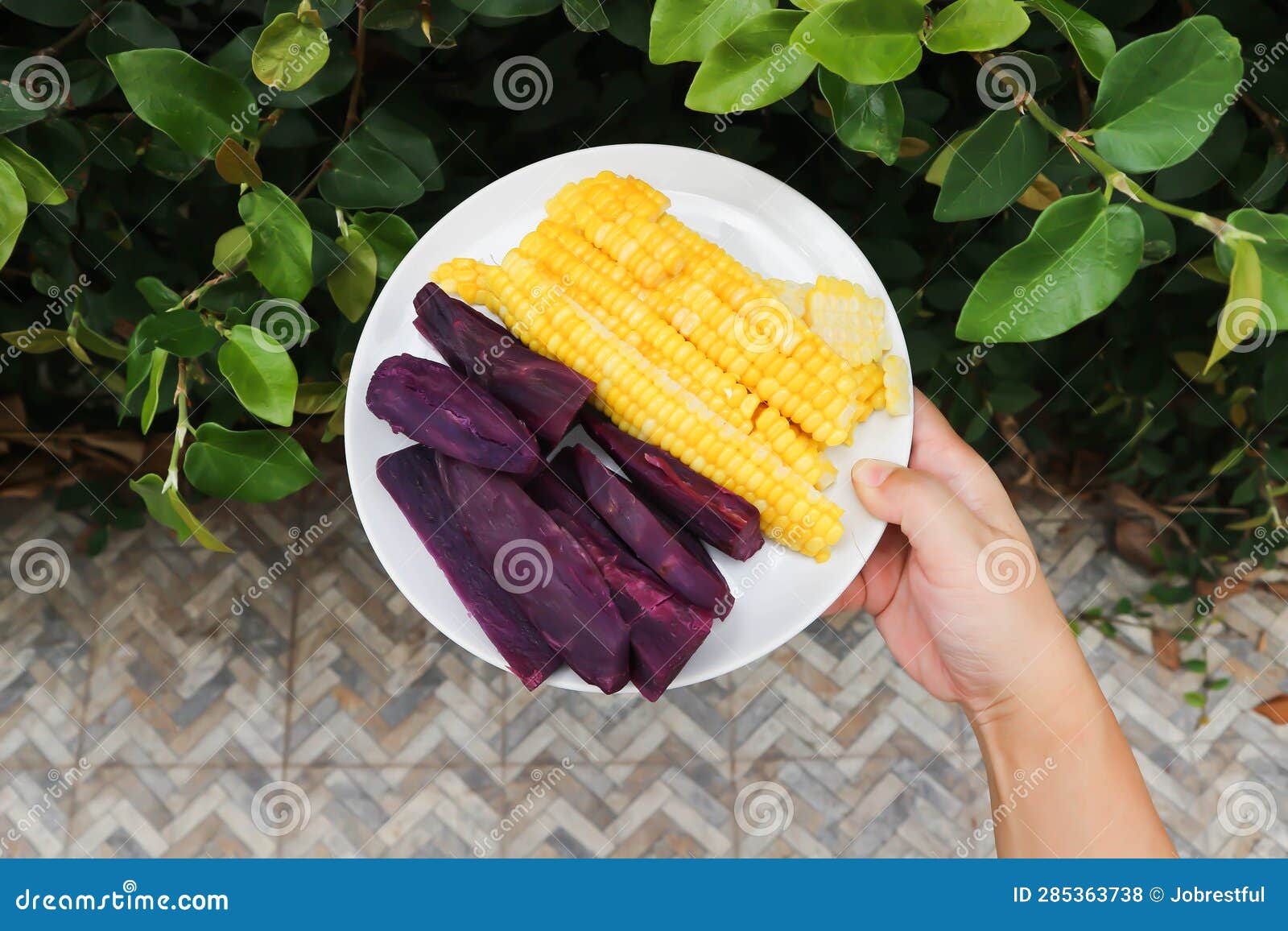 Steamed Corn and Steamed Purple Sweet Potato Stock Photo - Image of ...