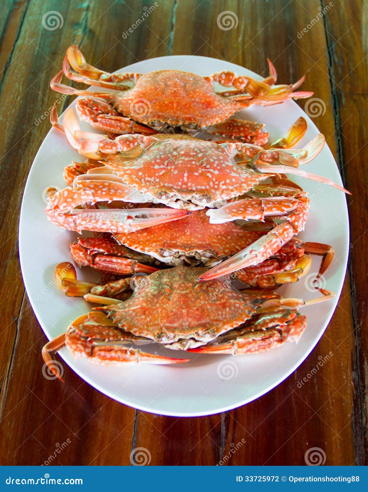 Steamed crab stock photo. Image of fish, lobster, legs - 33725972