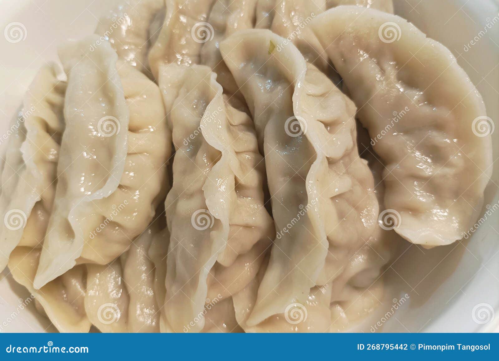 Steamed Gyoza Or Japanese Dumpling Stuffed Minced Pork Dipping Shoyu