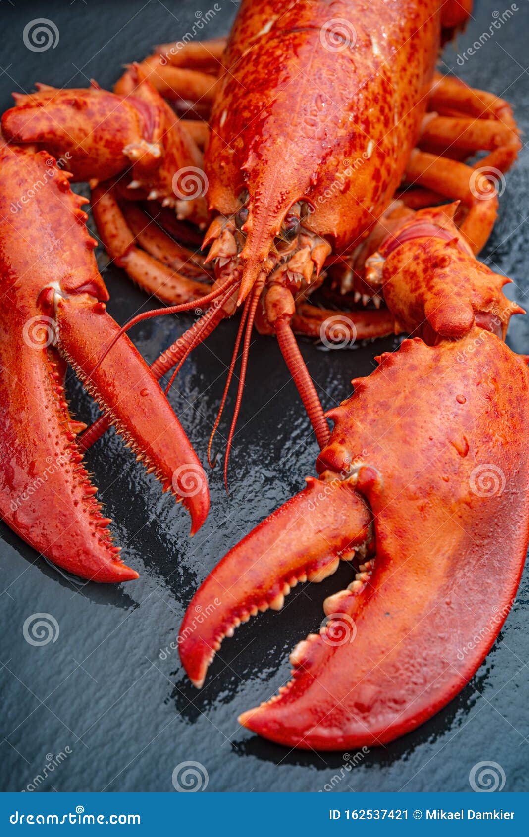 Steamed lobster stock afbeelding. Image of gastronomisch - 162537421