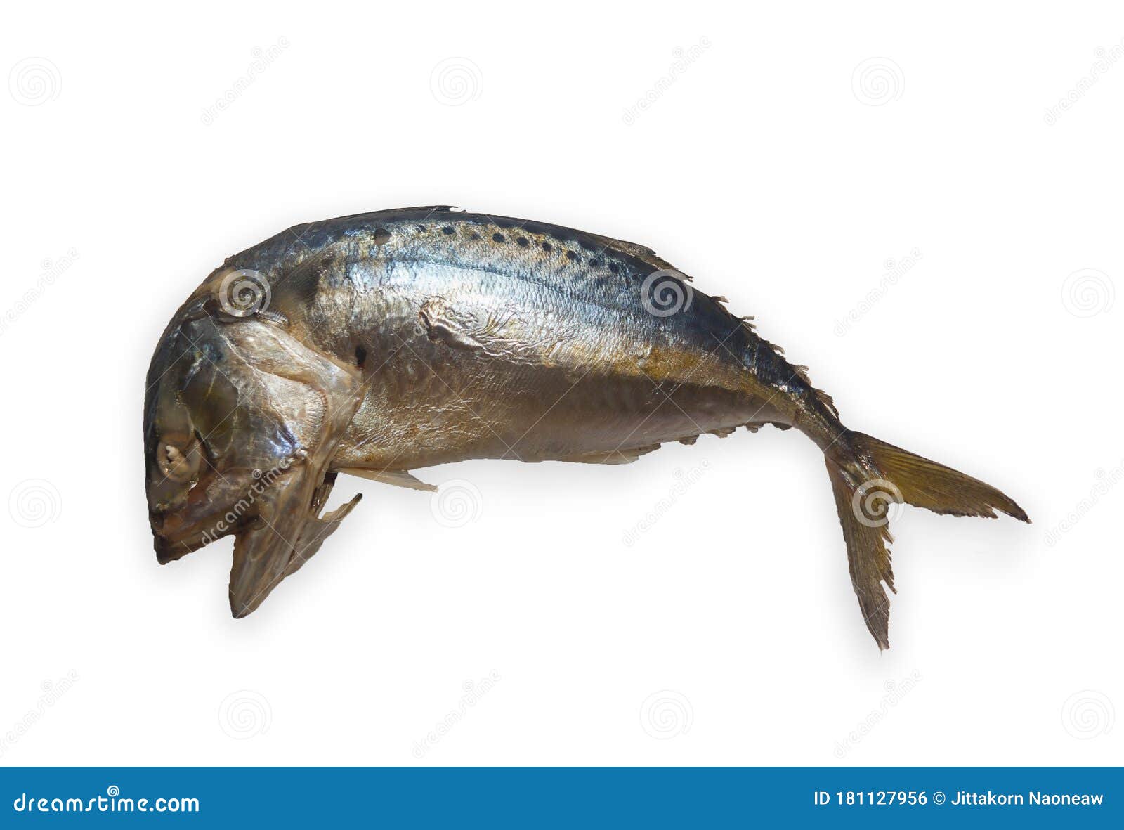 Steamed mackerel stock photo. Image of food, cook, asia 181127956