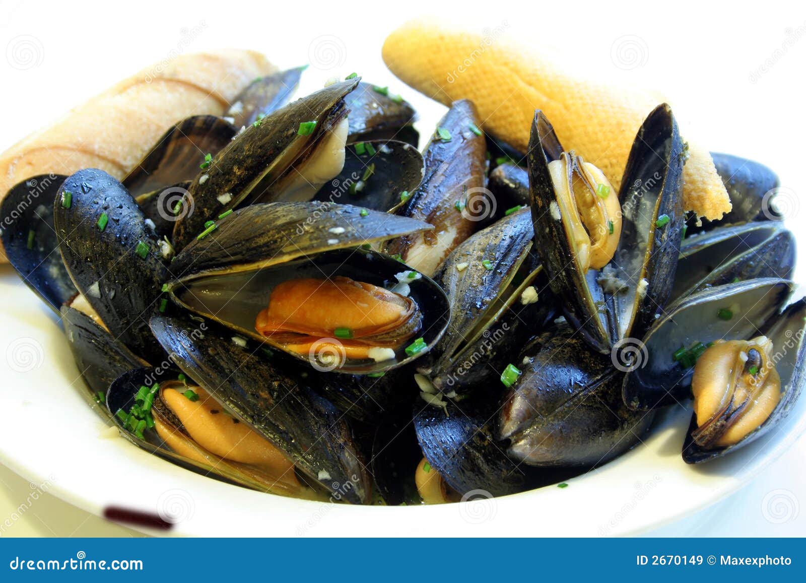 Steamed Mussels stock image. Image of dine, lunch, food 2670149